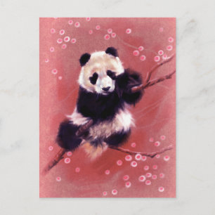 Postal Panda Blossom