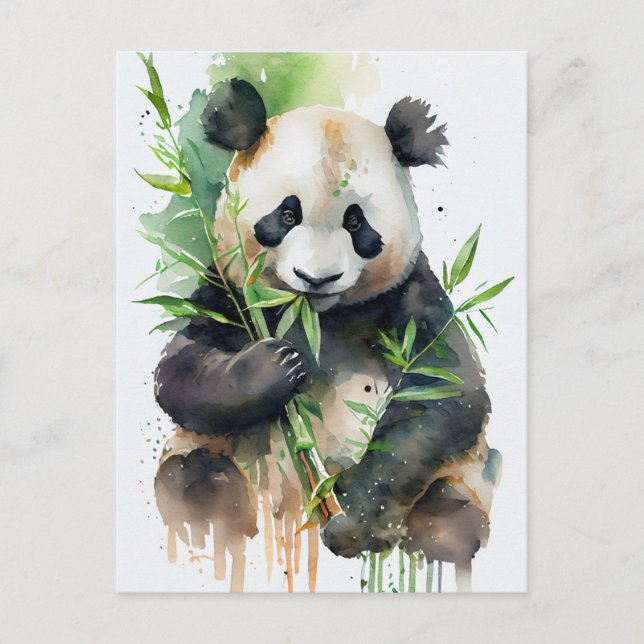Postal Panda con piel blanca y negra. (Anverso)