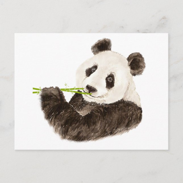 Postal Panda Cute, Oso Asiático, Animal Acuático (Anverso)