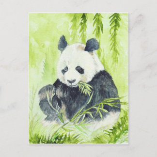 Postal panda gigante