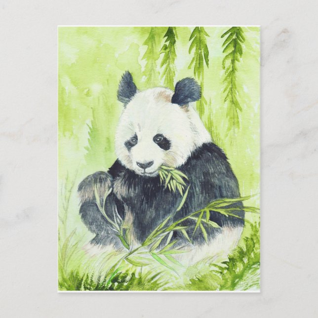 Postal panda gigante (Anverso)