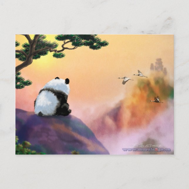 Postal Panda mirando (Anverso)
