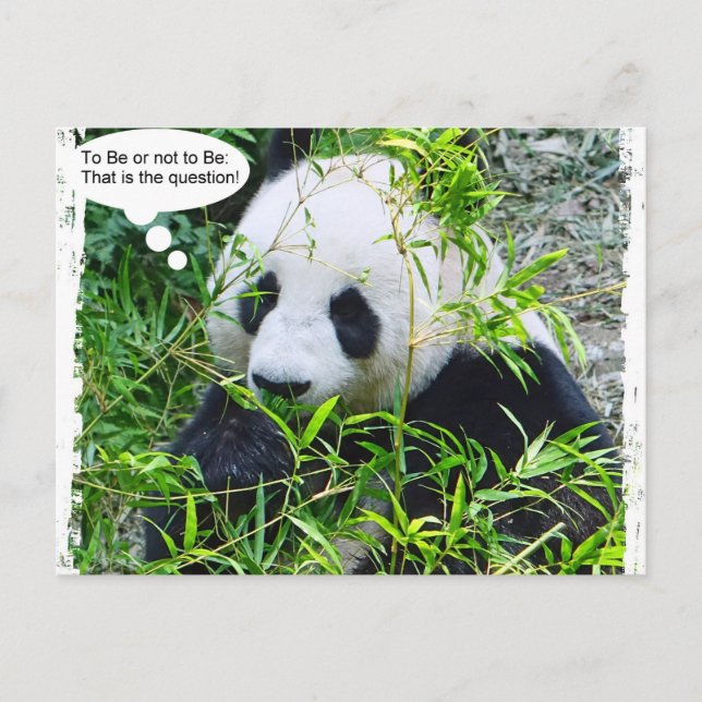 Postal Panda Modern Pop Art Quote Template Trendy (Anverso)