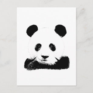 Postal Panda Peeks Out