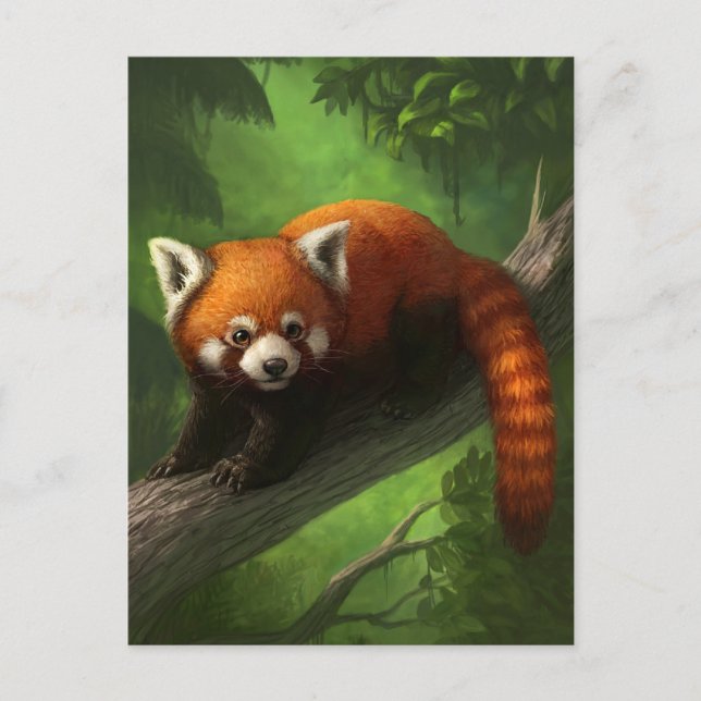 Postal Panda roja (Anverso)