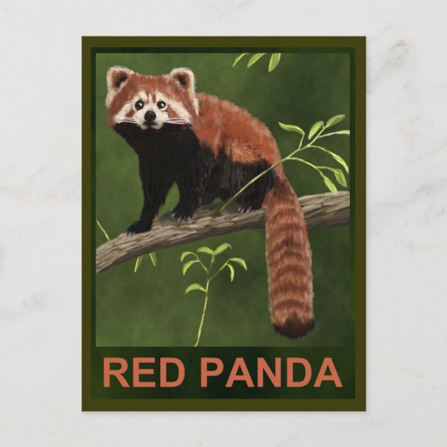 Postal Panda rojo (Anverso)