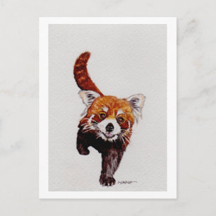 Postal Panda rojo