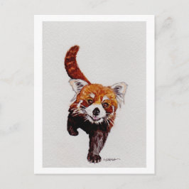 Postal Panda rojo