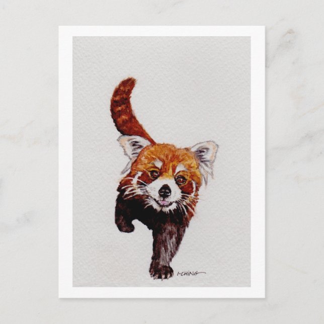 Postal Panda rojo (Anverso)