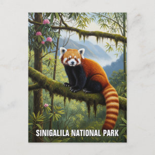 Postal Panda rojo en viaje por el parque nacional de Sing