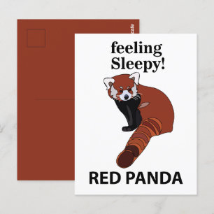 Postal Panda Rojo Sintiéndose Dormilón Divertido Panda Ro