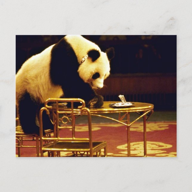 Postal Panda, Shanghai Circus, China (Anverso)