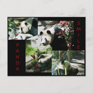 POSTAL PANDA SMILE