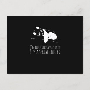 Postal Panda Sweet Funny Funny Animales Koala