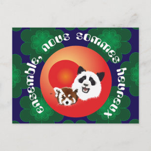 Postal Panda Treffen Postkarte