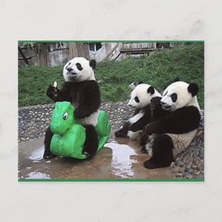 Postal pandabeer