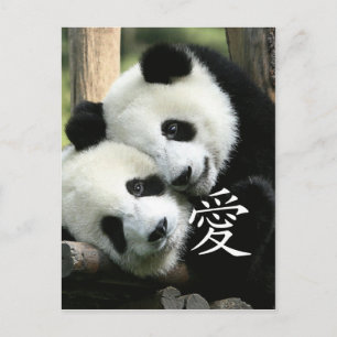 Postal Pandas gigantes chinos que aman