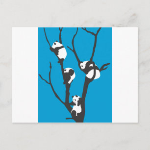 Postal Pandas Hangin' Out