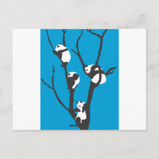 Postal Pandas Hangin' Out