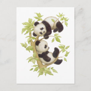 Postal Pandas jugando en un árbol