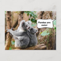 Pandas o Koalas - ¿Cuáles son más atractivos?