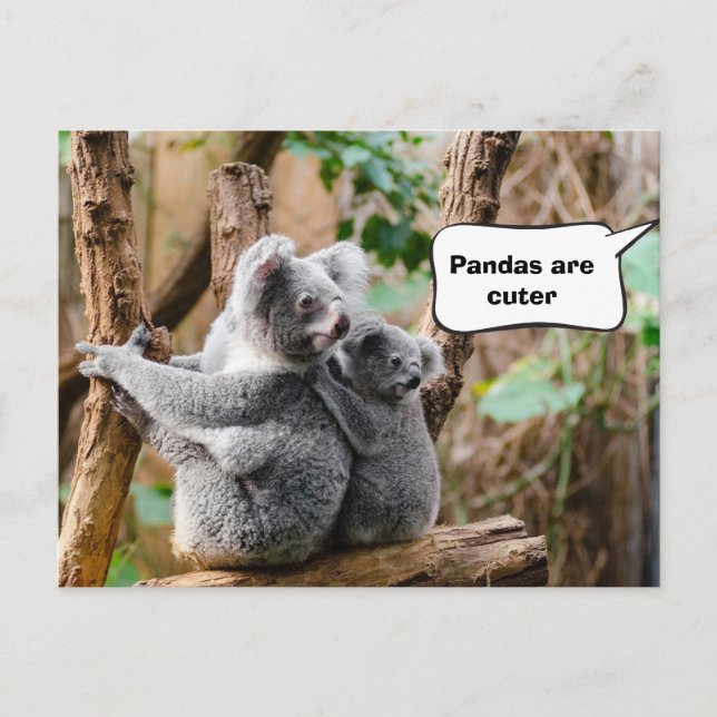 Postal Pandas o Koalas - ¿Cuáles son más atractivos? (Anverso)