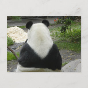 Postal PandaSD002