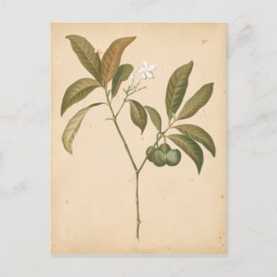 Postal Panel de deco de cobalto I