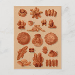 Postal Paneles italianos panaderos vintage ilustracion