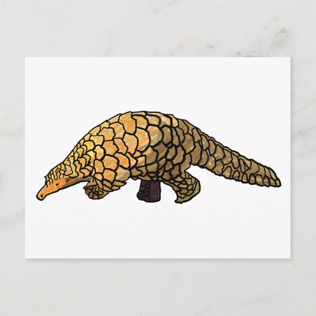 Postal Pangolin (Anverso)