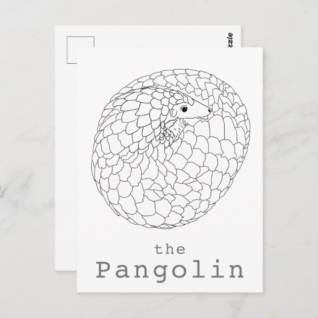 Postal Pangolin enrolló un dibujo simple (Anverso / Reverso)