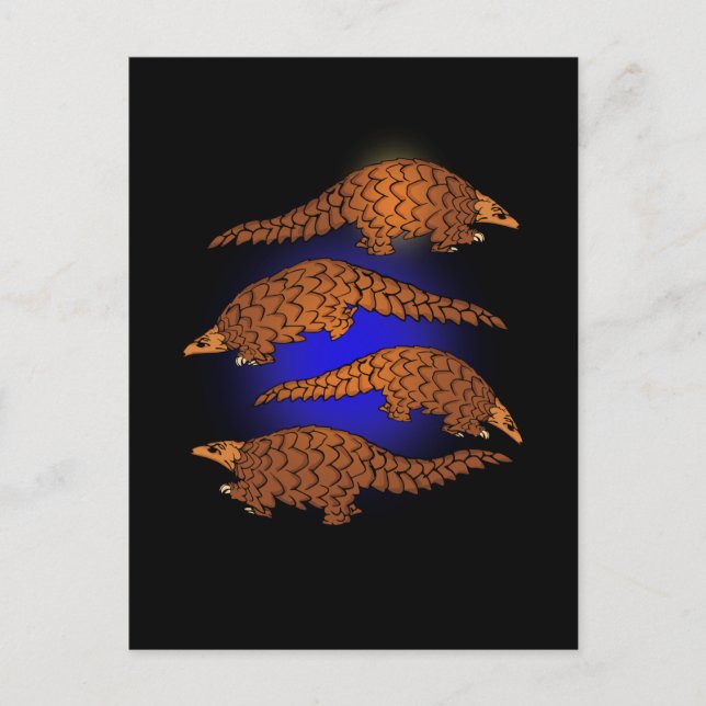 Postal Pangolin Gift Men Pangolin Lover Women Pangolin (Anverso)