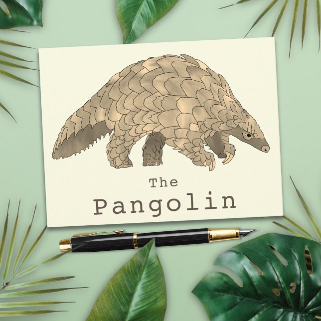 Postal Pangolin Wildlife Endangered Species Arte Animal (Pangolin animal art greetings postcard)