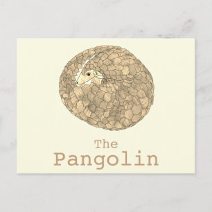 Postal Pangolin Wildlife Endangered Species Arte Animal