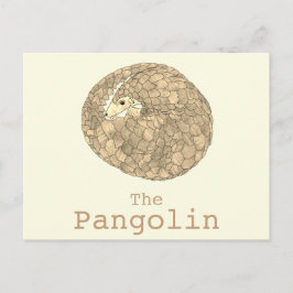 Postal Pangolin Wildlife Endangered Species Arte Animal
