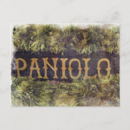 Postal Paniolo con Lei