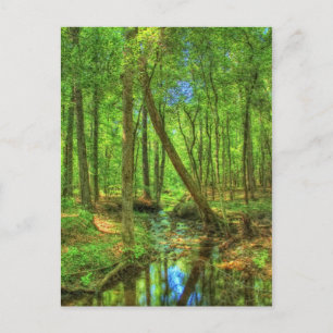 Postal Panorama de Georgia