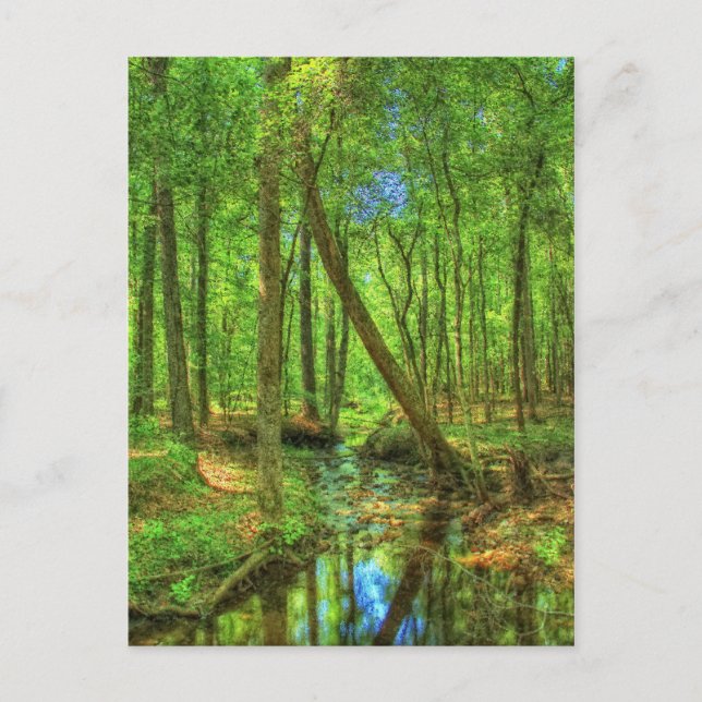 Postal Panorama de Georgia (Anverso)