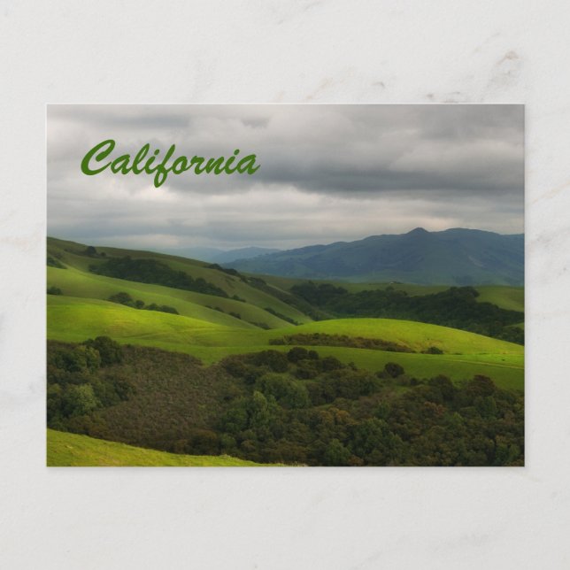 Postal Panorama de Primavera de California (Anverso)