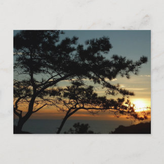 Postal Panorama de Torrey Pine Sunset