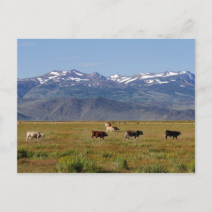 Postal Panorama HWY 395 de California