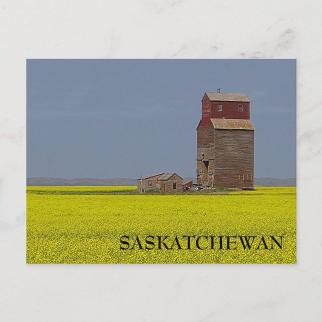 Postal panorámica Prairie Elevator (Anverso)