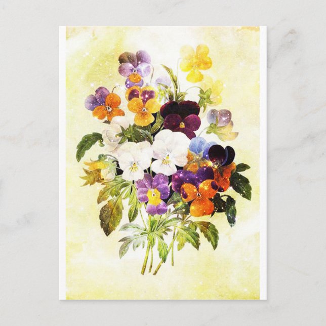 Postal Pansies (Anverso)