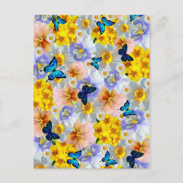 Postal Pansies Daisies Y Butterflies (Anverso)