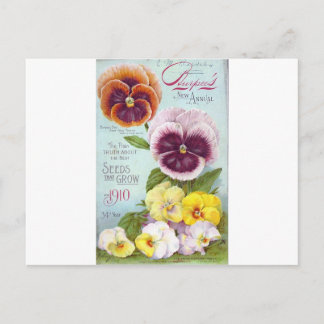 Postal Pansies de época