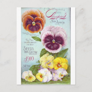 Postal Pansies de época