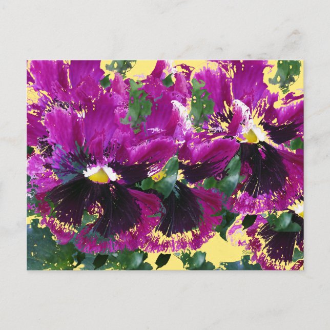 Postal Pansies de noviembre (Anverso)