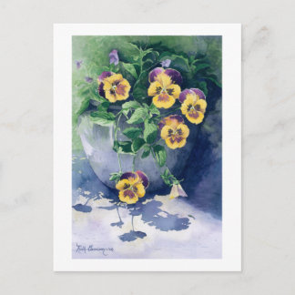 Postal Pansies en Planter en 2011