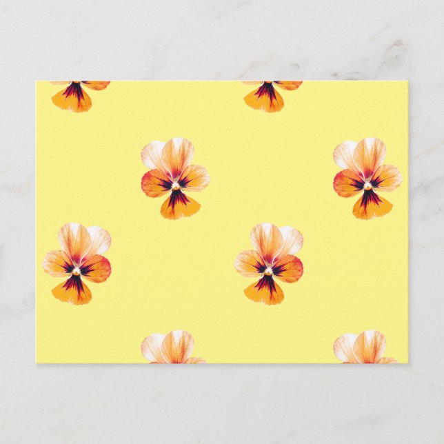 Postal Pansies naranjas (Anverso)