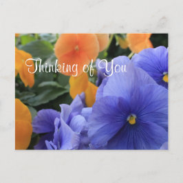 Postal Pansies púrpura y Naranja con Floral Verde Foto 48